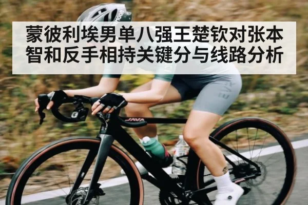 蒙彼利埃男单八强王楚钦对张本智和反手相持关键分与线路分析